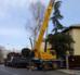 Alquiler de Camión Grúa (Truck crane) / Grúa Automática Freightliner/Effer, Capacidad 12 Tons a 2 mts. Boom extendido verticalmente 14,4 mts 1.540 kilos. en Managua, Managua, Nicaragua